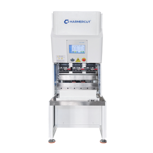 Mini CNC Electric Servo Press Brake Machine